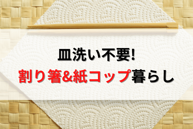 皿洗いが苦手 100均の割り箸 紙コップで生活してみた話 ひよこは旅をする