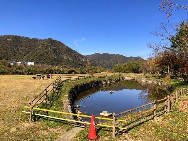 栗栖園地の池