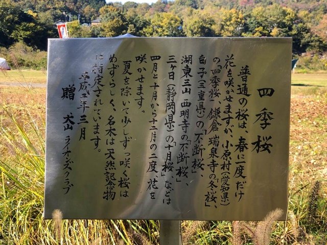 栗栖園地の四季桜の看板